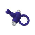 Kit Conexão Quente – Vibrador por App, Anel Peniano, Lubrificante + Jogo Erótico