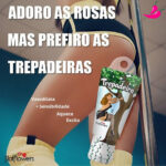 Trepadeira - Gel Excitante Feminino